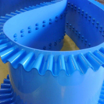 831_IMG00487-20110222-1620